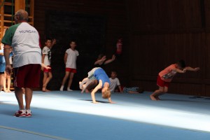 IMG 0260